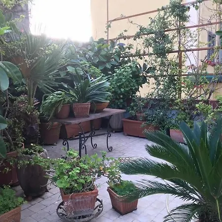Casa Amedeo *